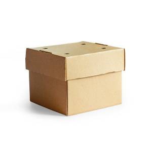Premium hamburger box, foldable for delivery.